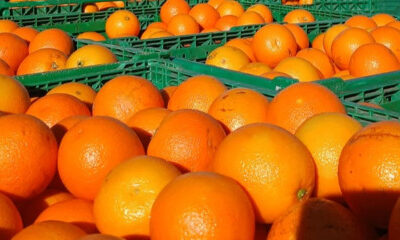 El municipio refuerza la alimentación de merenderos con frutas de estación