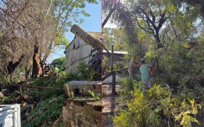 Fuertes vientos provocaron destrozos y caída de postes y árboles en La Paz