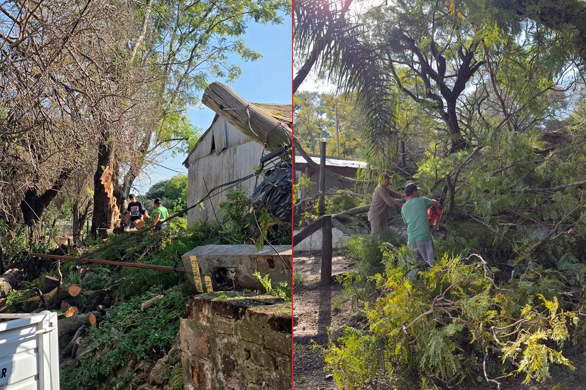 fuertes-vientos-provocaron-destrozos-y-caida-de-postes-y-arboles-en-la-paz-20260718-204507