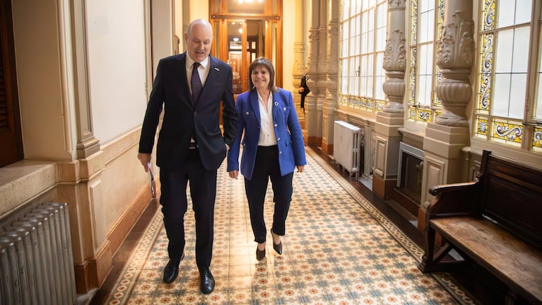 patricia-bullrich-se-reunio-con-sturzenegger-para-definir-los-cambios-a-la-ley-de-propiedad-privada-20260724-002556