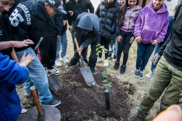Refuerzan la plantación de árboles nativos en Paraná: la Escuela Soler recibió varios ejemplares