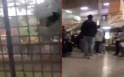 Balacera en barrio El Pozo de Paraná: escuela activó protocolo para resguardar a sus alumnos