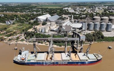 Conflicto en los puertos: el Gobierno anunció que suspenderá el decreto de desregulación y reducirá un 20% las tarifas de practicaje