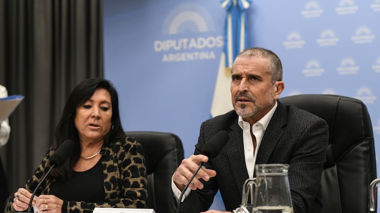 diputados-el-oficialismo-buscara-debatir-las-reformas-del-banco-central-y-la-ley-de-inocencia-fiscal-20260809-001242