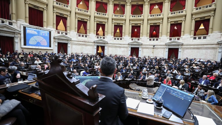 el-gobierno-busca-avanzar-con-la-agenda-de-javier-milei-en-diputados-y-afianza-acuerdos-con-los-dial-20260824-001325