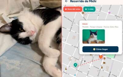 Entrerriano creó una aplicación para encontrar mascotas perdidas y ya logró 20 reencuentros