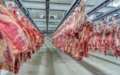 Estados Unidos excluyó a Argentina de la nueva cuota de importación de carne sin aranceles