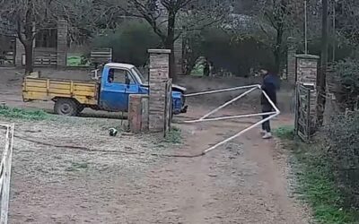 Insólito robo: entró al patio de una casa y se llevó dos arcos de fútbol en un camioneta