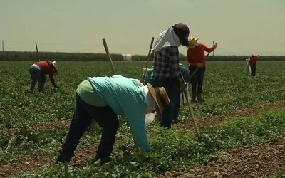 Trabajador rural: cuánto cobra en mayo 2026 tras la nueva suba salarial
