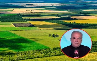 Ley de Tierras: advierten que elevar el límite al 25% “no cambia el espíritu del proyecto”