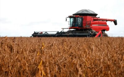 Pese a la baja de retenciones, el campo aportará más de US$4.600 millones en 2026