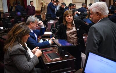 Senado: por presión de los bloques aliados y para garantizar la sesión de mañana, el Gobierno retiró el capítulo de extranjerización de tierras