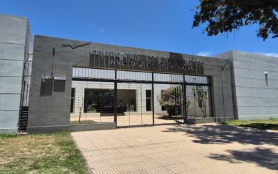 Un estudio de ADN confirmó que no hubo error en el caso de la pareja que esperaba una nena y recibió un varón: la confusión habría surgido de las ecografías