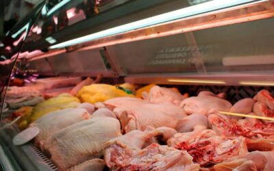 El consumo de pollo superaría los 50 kilos por habitante y quedaría sobre la carne vacuna