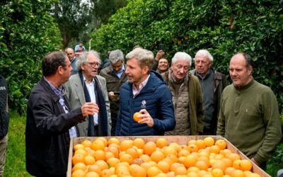 Frigerio recorrió plantaciones de cítricos en Concordia y destacó el potencial del sector para crecer y exportar