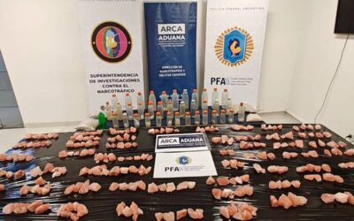 Incautaron 52 kilos de MDMA ocultos en una camioneta llegada desde Europa: es el mayor decomiso registrado en Argentina