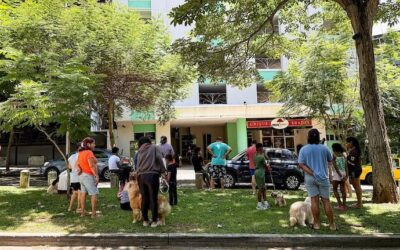 El susto de un argentino en medio del terremoto en Panamá: “Las paredes flameaban como hojas”